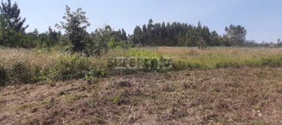  Land in Soure, Portugal No. 159148 13