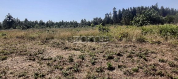  Land in Soure, Portugal No. 159148 8