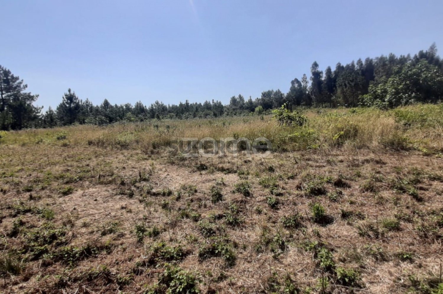  Land in Soure, Portugal No. 159148