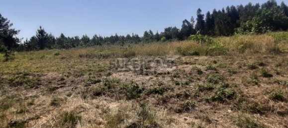  Land in Soure, Portugal No. 159148 9