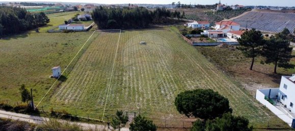 Дом с 3 спальнями в Торриш Ведраш, Португалия № 45583 7