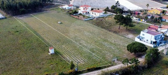 Дом с 3 спальнями в Торриш Ведраш, Португалия № 45583 8