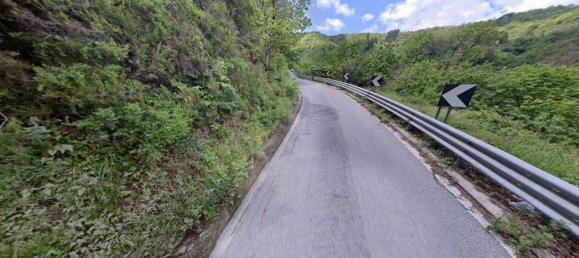 6830m² Commercial property in Sorbo San Basile, Italy No. 332577 5