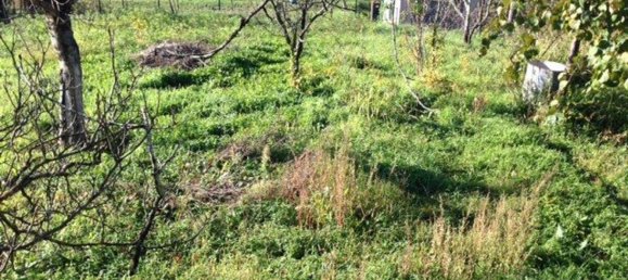 6غرفة منزل في Aulla, Italy رقم 81319 10