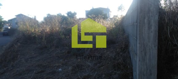 Terrain à Coimbra, Portugal 978m² No. 67263 2