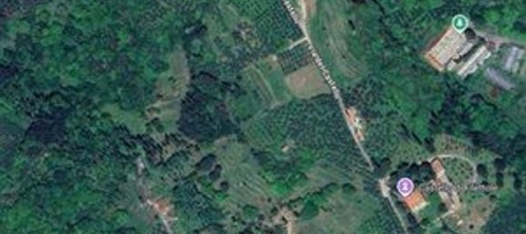 3 chambres Appartement à Vecchiano, Italy No. 374733 17