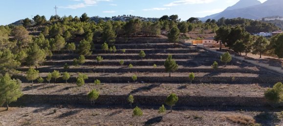  قطعة أرض في La Nucia, Spain رقم 42074 23