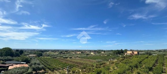 5 bedrooms Villa in Velletri, Italy No. 321613 30