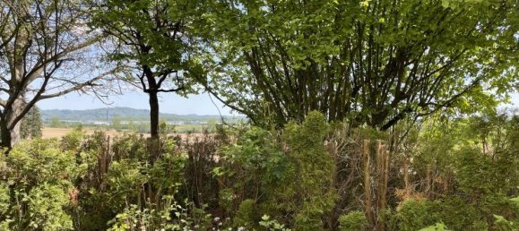 2 rooms Apartment in Rems-Murr-Kreis, Germany No. 34498 3