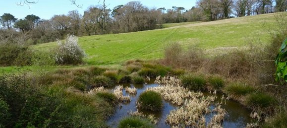 4 Schlafzimmer Haus in Landes, France, Nr. 286317 12