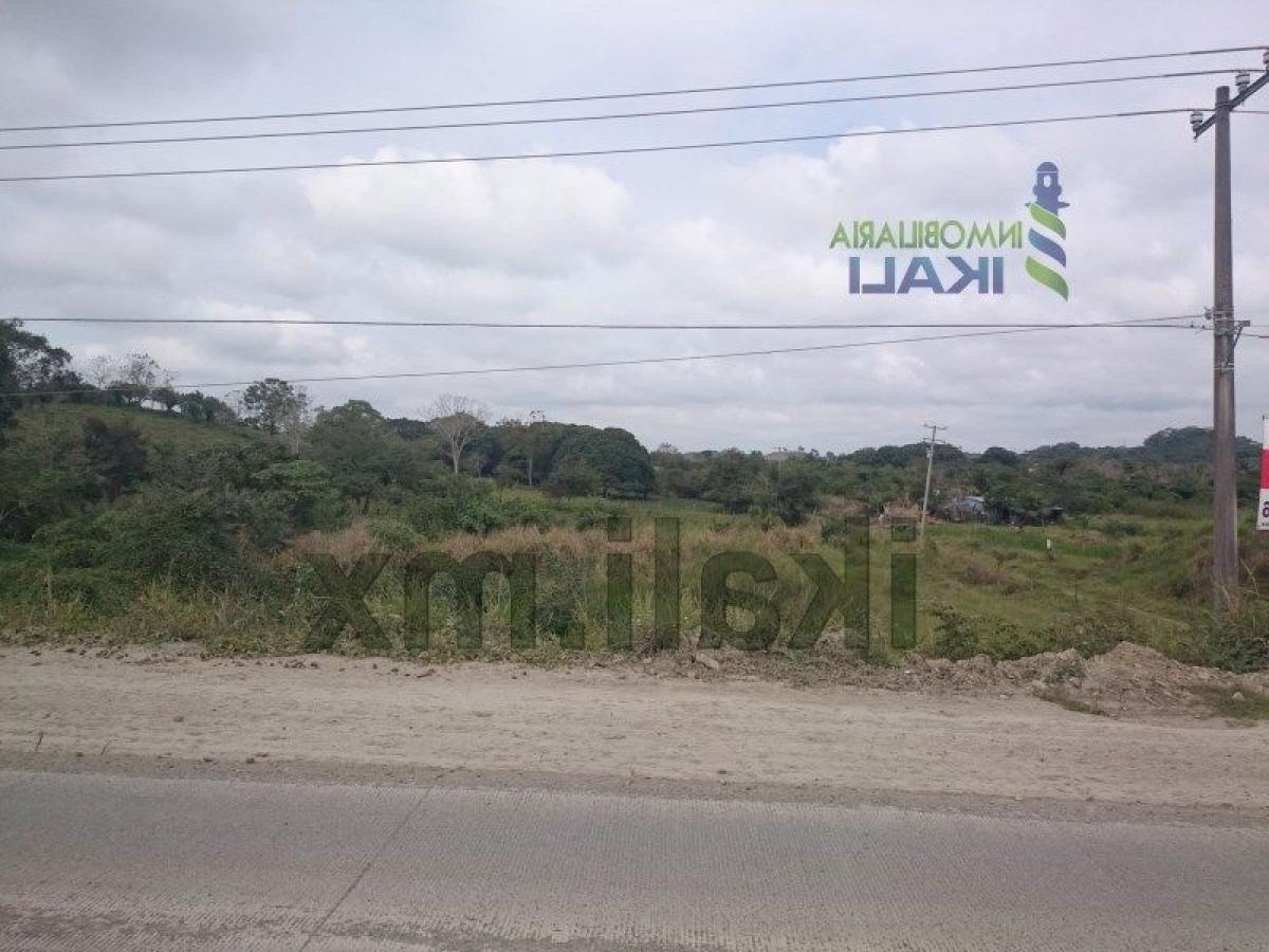  قطعة أرض في Veracruz, Mexico رقم 205539