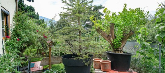 5-salle Maison à Innsbruck-Stadt, Austria No. 200393 10