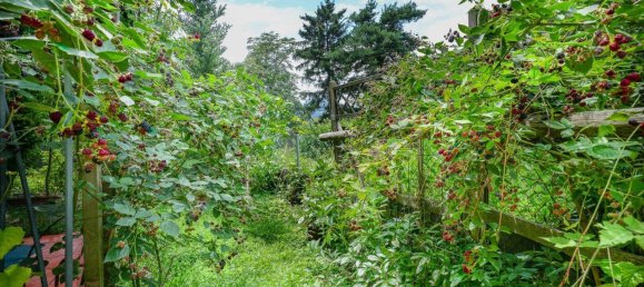 5-salle Maison à Innsbruck-Stadt, Austria No. 200393 9