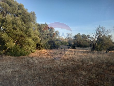 Terrain à Olhao, Portugal 25720m² No. 32428