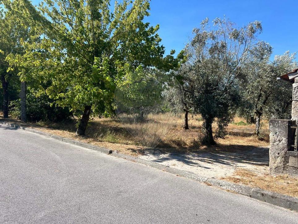  Land in Canas de Senhorim, Portugal No. 294852