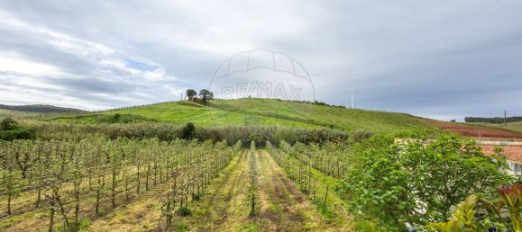 Casa de 4 dormitorios en Cadaval, Portugal No. 165187 24