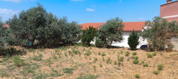 824m² Land in Ribatejada, Spain No. 157750 2
