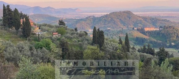 26 rooms Villa in Massarosa, Italy No. 73365 25