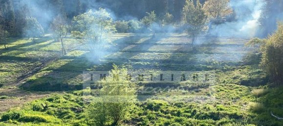 26 rooms Villa in Massarosa, Italy No. 73365 17