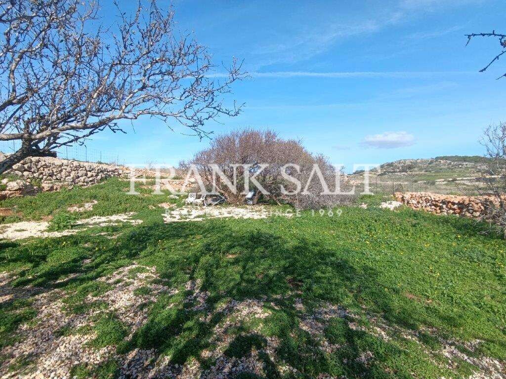 Terrain à Mgarr, Malta 750m² No. 13500