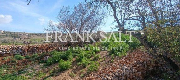 Terrain à Mgarr, Malta 750m² No. 13500 4