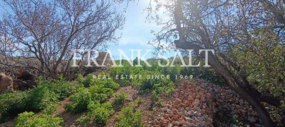 Terrain à Mgarr, Malta 750m² No. 13500 6