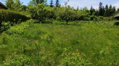  Land in Pressbaum, Austria No. 159764