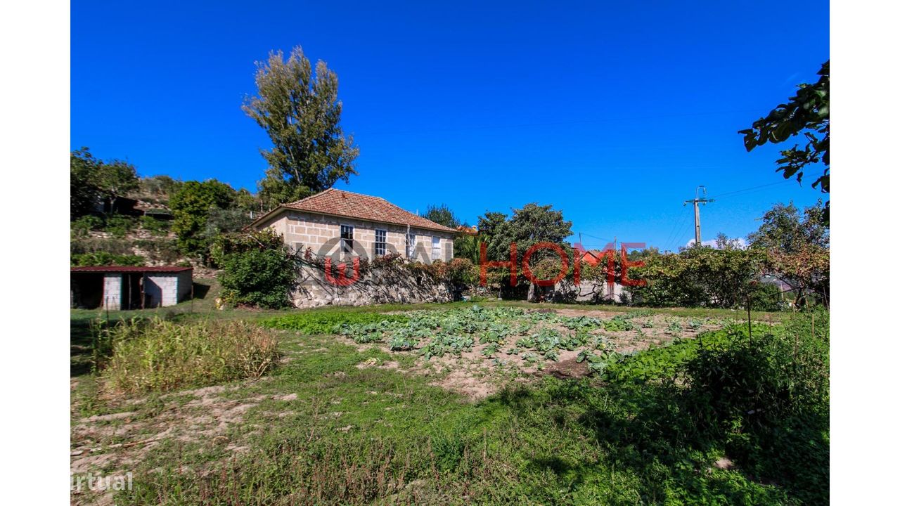 5 bedrooms House in Cinfaes, Portugal No. 44897