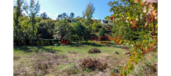 5 bedrooms House in Cinfaes, Portugal No. 44897 14