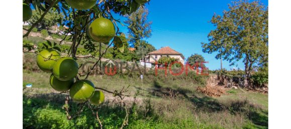 5 bedrooms House in Cinfaes, Portugal No. 44897 23