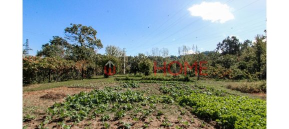 5 bedrooms House in Cinfaes, Portugal No. 44897 10