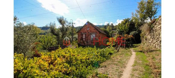 5 bedrooms House in Cinfaes, Portugal No. 44897 5