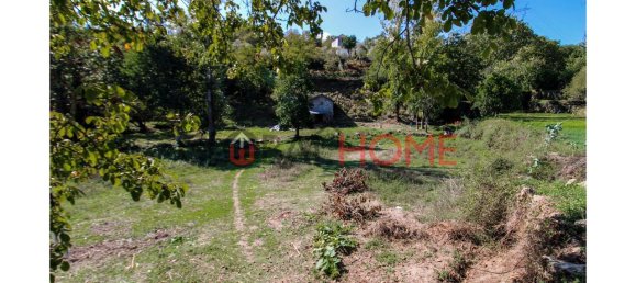 5 bedrooms House in Cinfaes, Portugal No. 44897 13