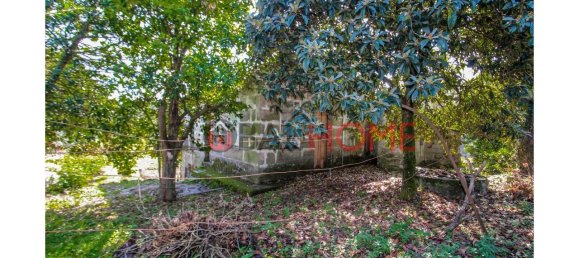 5 bedrooms House in Cinfaes, Portugal No. 44897 6