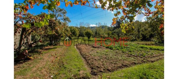 5 bedrooms House in Cinfaes, Portugal No. 44897 7