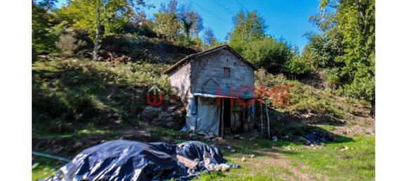 5 bedrooms House in Cinfaes, Portugal No. 44897 21