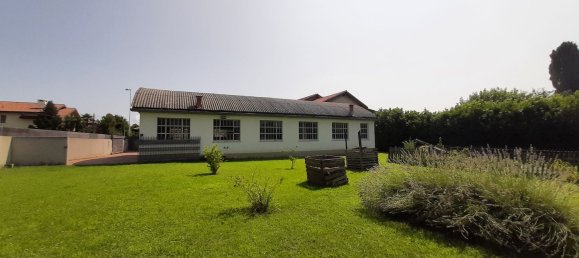 2-Zimmer Haus in Udine, Italy, Nr. 84448 11