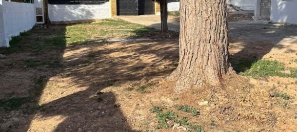 1 bedroom House in Naquera, Spain No. 91255 19