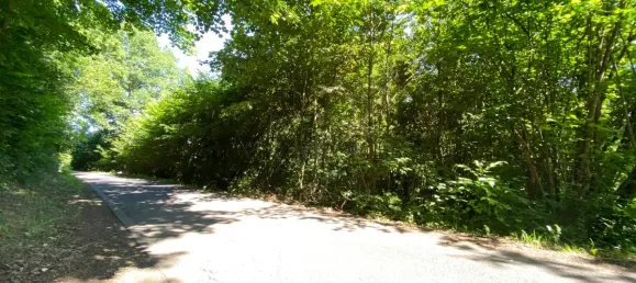 Terrain à Altenkirchen, Germany No. 138298 2