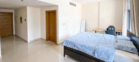 Studio in Downtown Dubai (Downtown Burj Dubai), UAE No. 101183 6