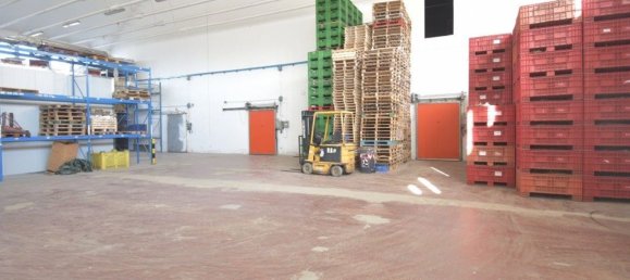 6-Zimmer Lagerhaus in Cesena, Italy, Nr. 137525 2