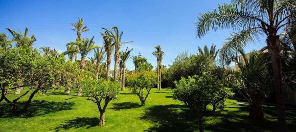 7 bedrooms Villa in Torrevieja, Spain No. 8671 10