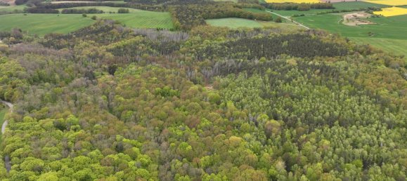 24085m² Land in Saale-Holzland, Germany No. 163559 2