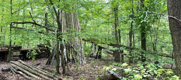 24085m² Land in Saale-Holzland, Germany No. 163559 13