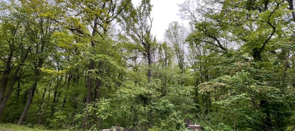 24085m² Land in Saale-Holzland, Germany No. 163559 6