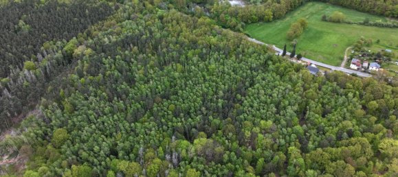 24085m² Land in Saale-Holzland, Germany No. 163559 3