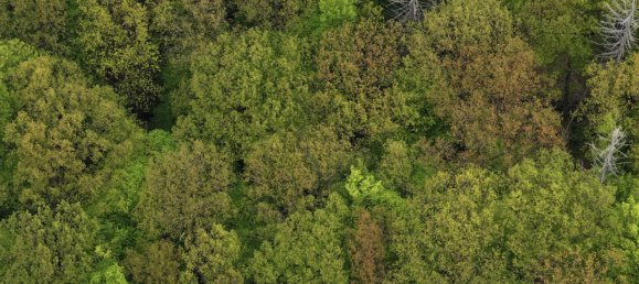 24085m² Land in Saale-Holzland, Germany No. 163559 5