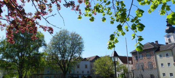 2 rooms Apartment in Wels, Austria No. 203886 15