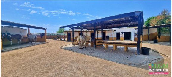 Imóvel comercial em Le Grau-du-Roi, France N.º 106034 4