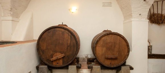 15 bedrooms Villa in Montale, Italy No. 296902 28